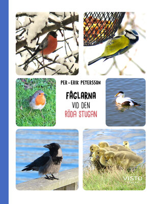 cover image of Fåglarna vid den röda stugan